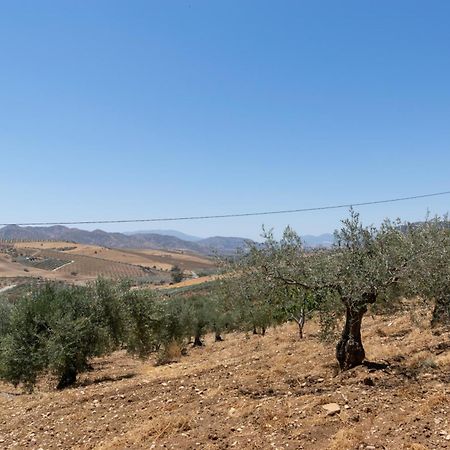 Casa Los Olivos Alora - Caminito Del Rey Dış mekan fotoğraf