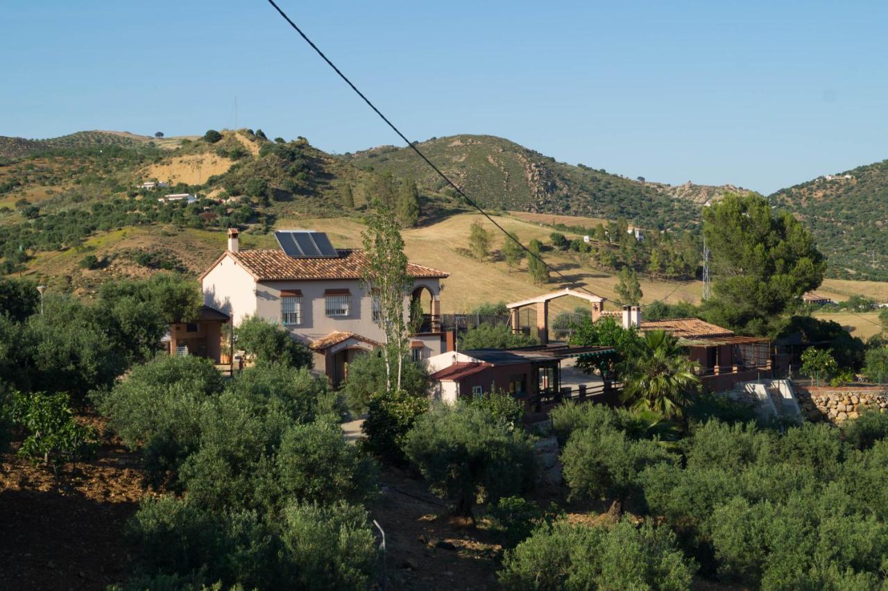 Casa Los Olivos Alora - Caminito Del Rey Dış mekan fotoğraf