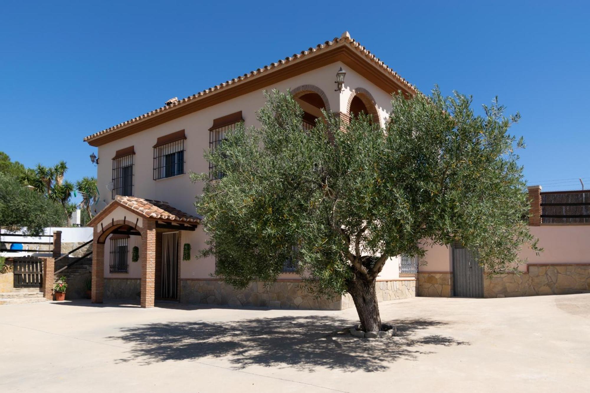 Casa Los Olivos Alora - Caminito Del Rey Dış mekan fotoğraf