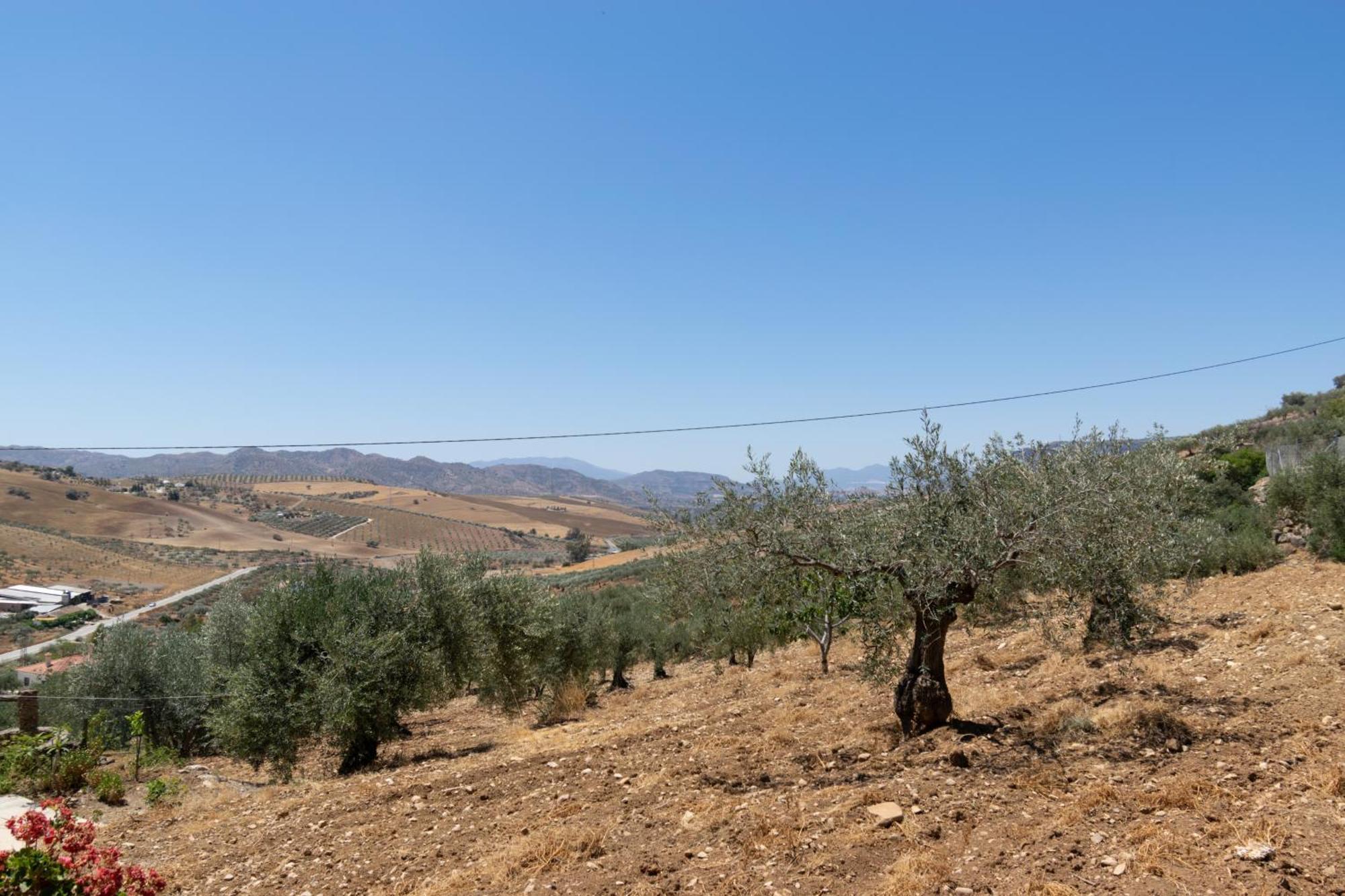 Casa Los Olivos Alora - Caminito Del Rey Dış mekan fotoğraf